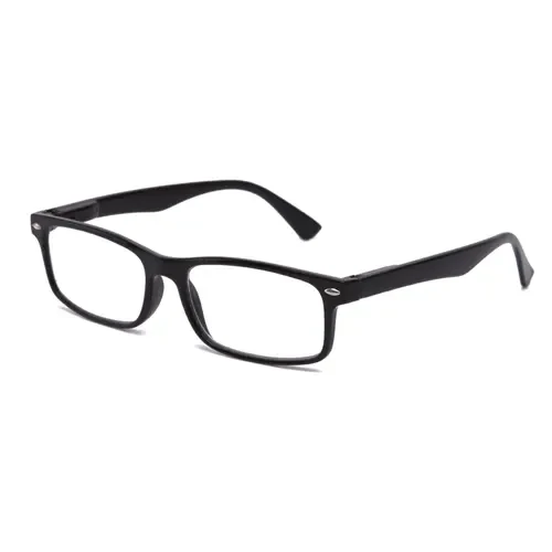 Spectacle Frame